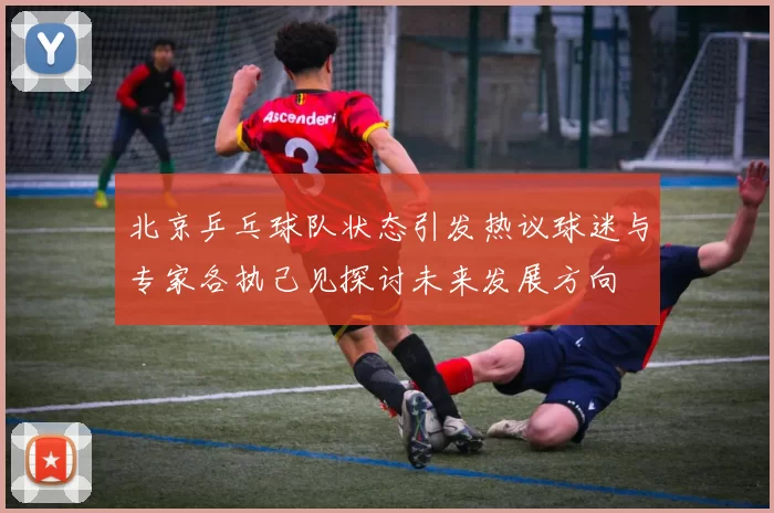 北京乒乓球队状态引发热议球迷与专家各执己见探讨未来发展方向