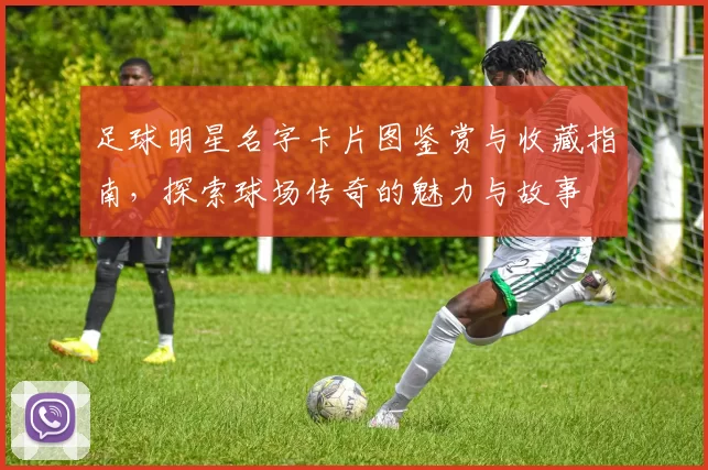 足球明星名字卡片图鉴赏与收藏指南，探索球场传奇的魅力与故事