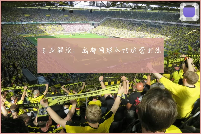 专业解读：成都网球队的运营打法