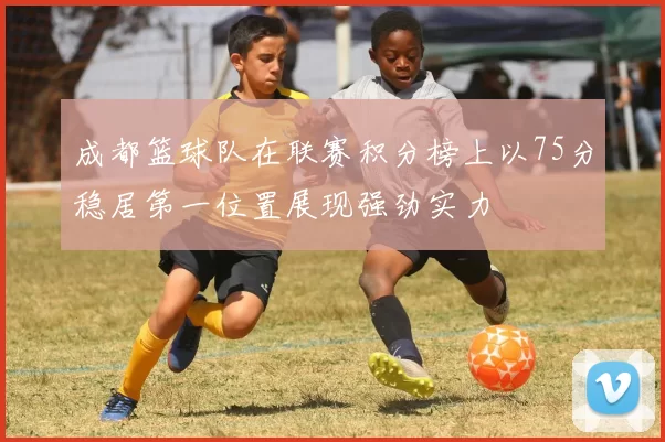 成都篮球队在联赛积分榜上以75分稳居第一位置展现强劲实力